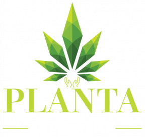 Planta Culture Wellness